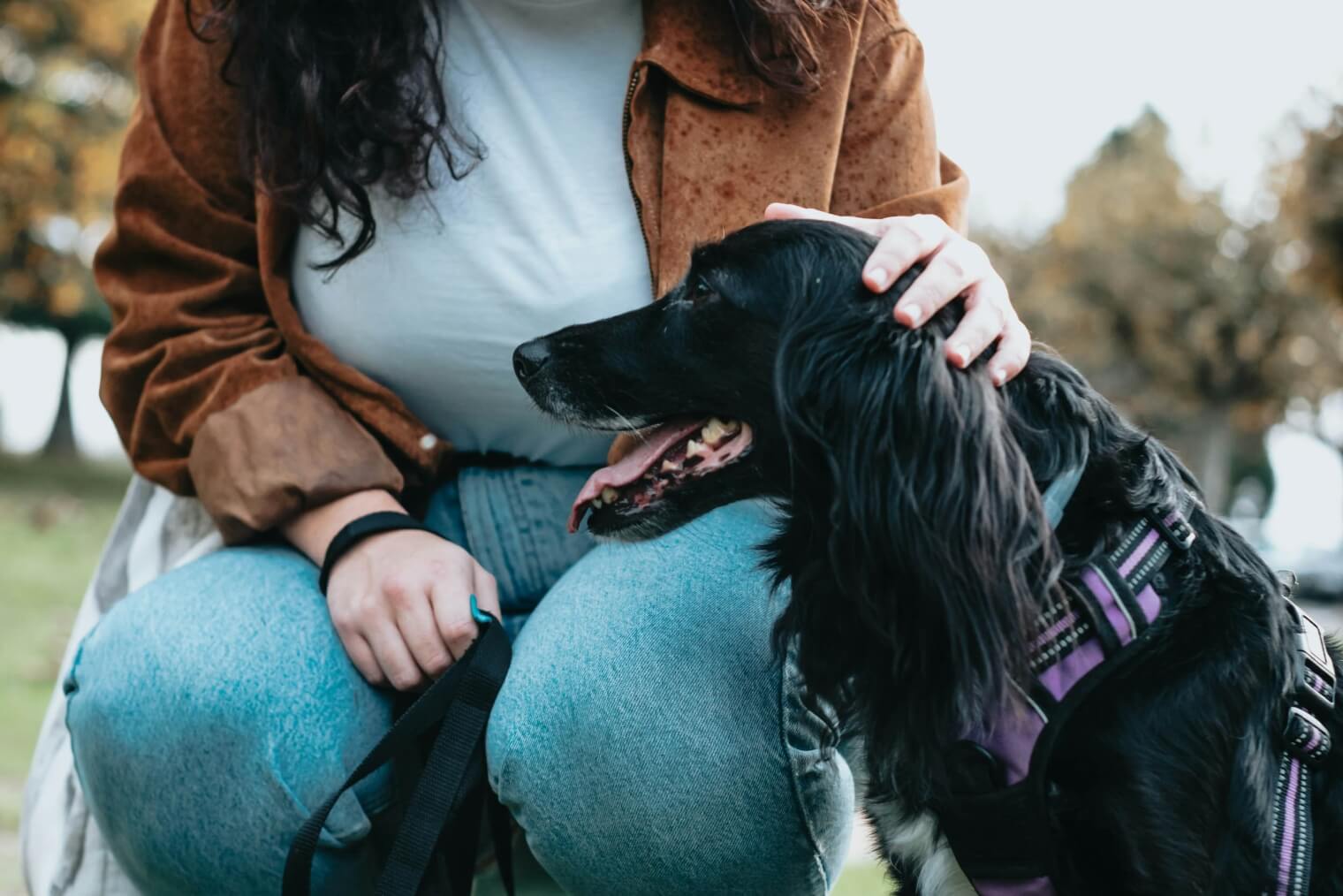 epv-pet-friendly-lifestyle-photo1-1